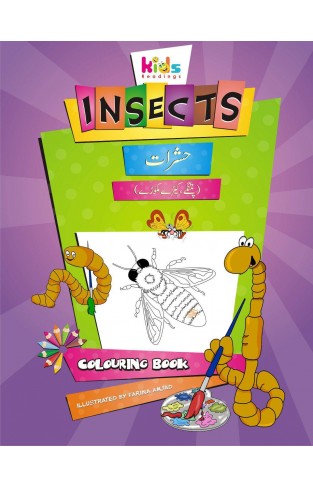 INSECTS COLOURING BOOK
