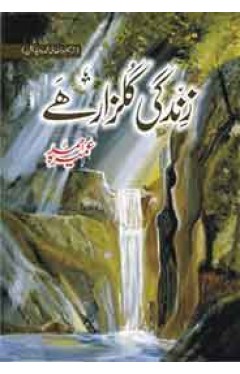 Zindagi Gulzaar Hai - (HB)