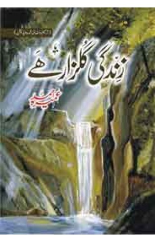 Zindagi Gulzaar Hai - (HB)