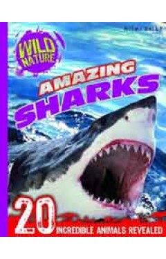 Amazing Sharks Wild Nature