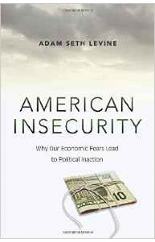 American Insecurity: Why Our Economic Fears Lead to Political Inaction