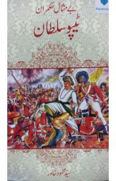Bay Misal Hukmaran Tipu Sultan