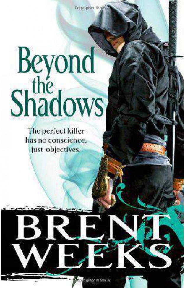 Beyond The ShadowsBook 3 of the Night Angel
