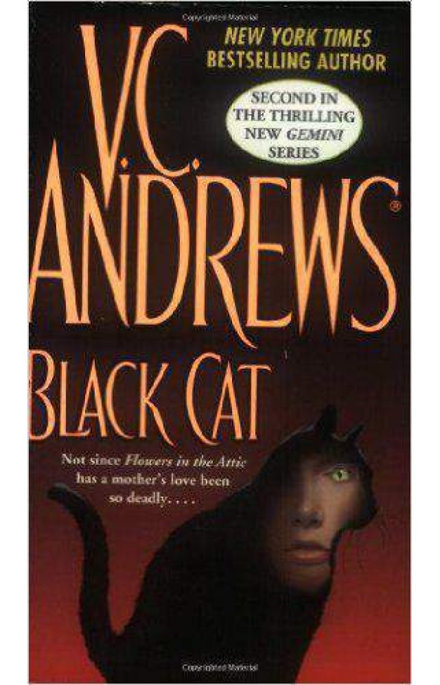 Black Cat Gemini No 2