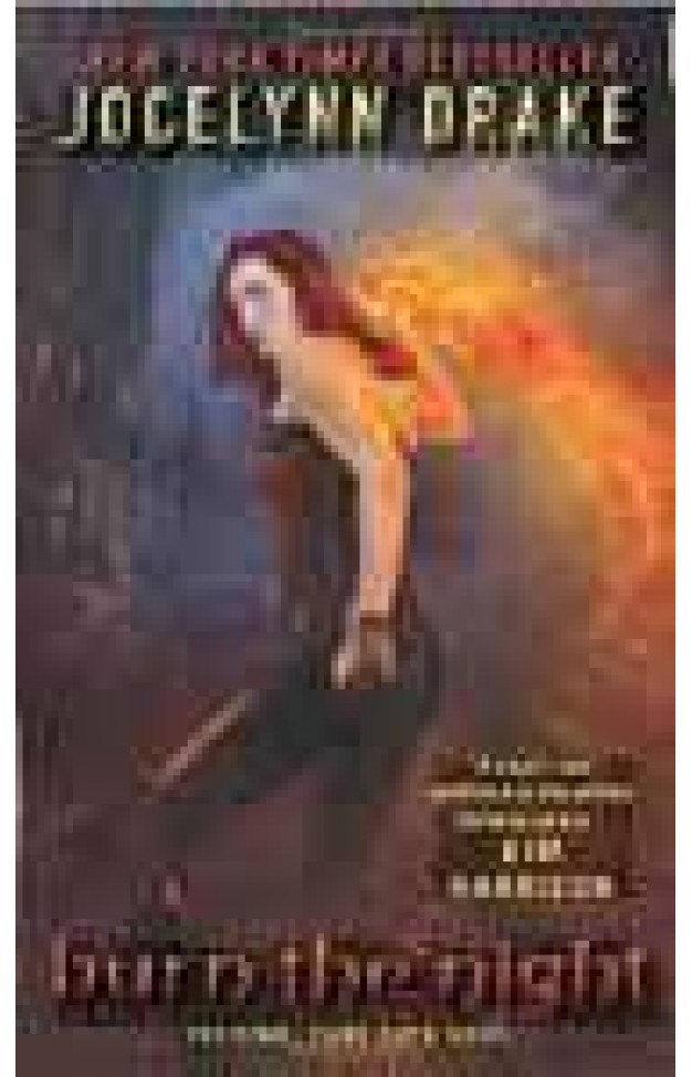 Burn The Night: The Final Dark Days Novel