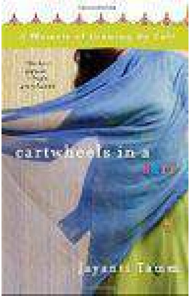 Cartwheels in a Sari: A Memoir of Growing Up Cult