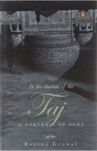 In the Shadow of the Taj A Portrait of Agra