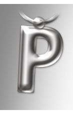 Initial Keyring Letter P