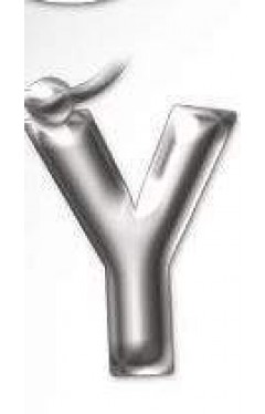 Initial Keyring Letter  Y