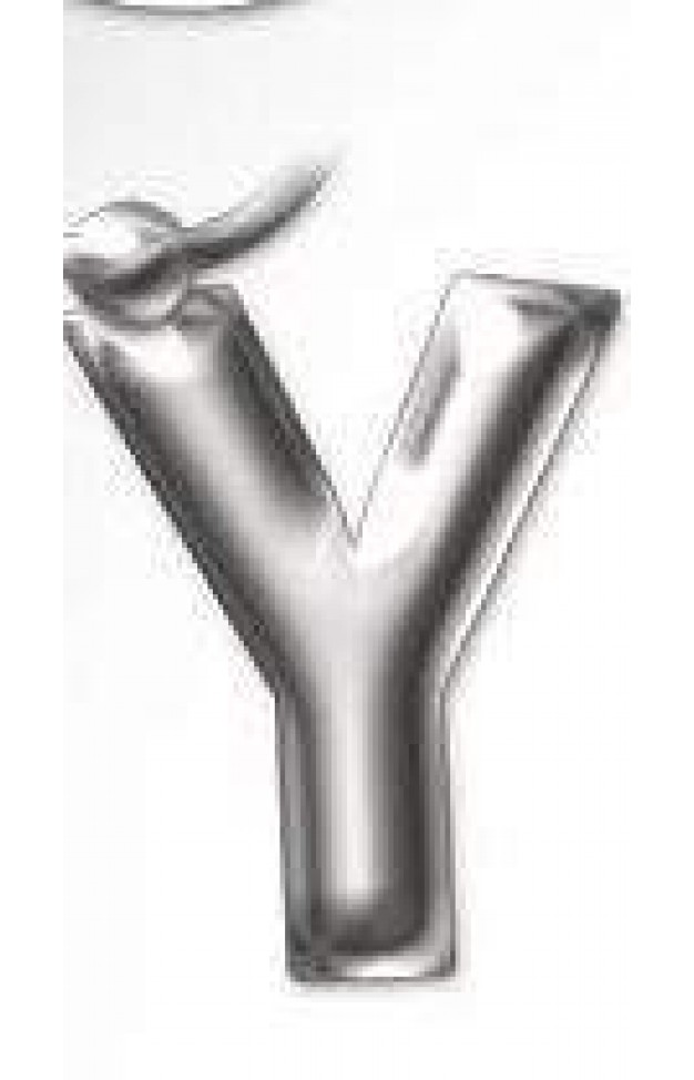 Initial Keyring Letter  Y