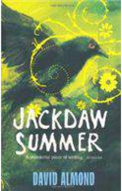 Jackdaw Summer