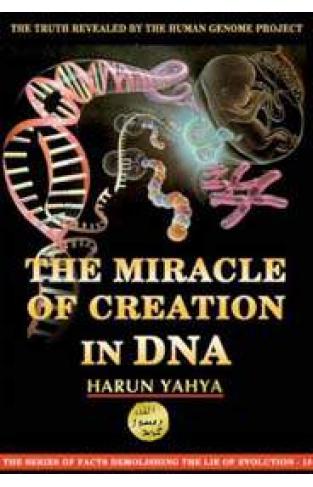 Miracle Of Creation In Dna English