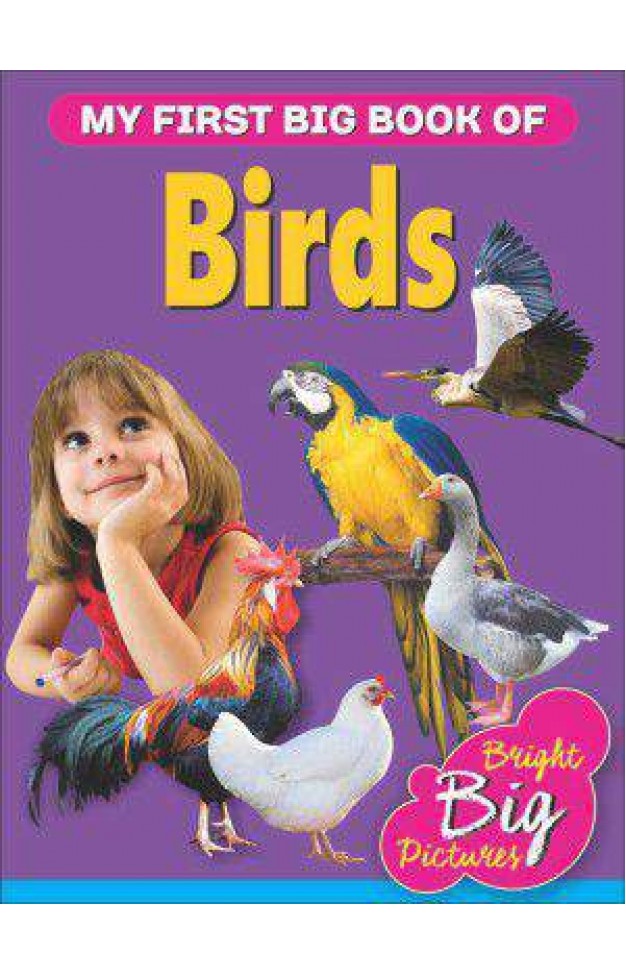 My First big book of Birds