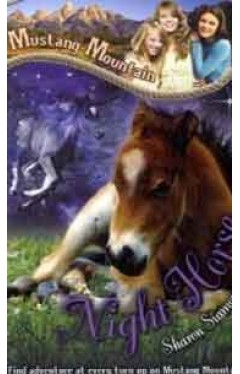 Night Horse Mustang Mountain