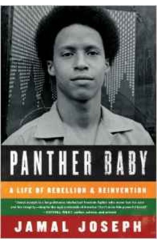 Panther Baby