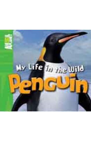 Penguin My Life in the Wild