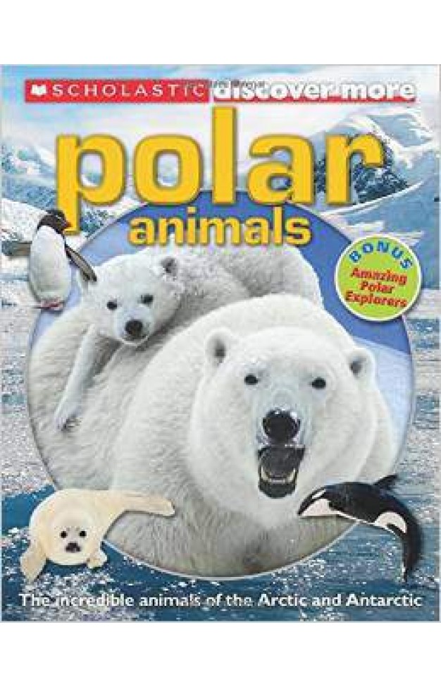 Scholastic Discover More Polar Animals