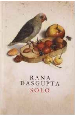 Solo