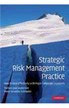 Strategic Risk Management Practice