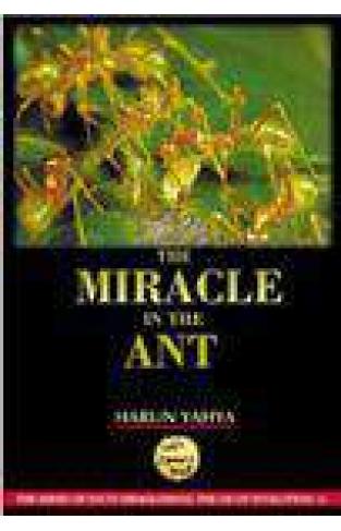 The Miracle In The Ant Colour Pictures