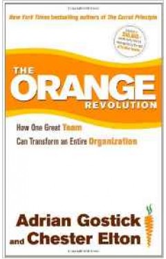 The Orange Revolution How One Great Team Can Transform An Entire Organization