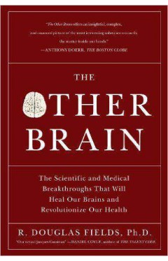 The Other Brain: The Scientific and Medical Breakthroughs That Will Heal Our Brains and Revolutionize Our Health 
