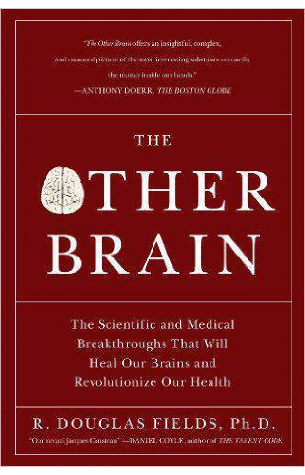 The Other Brain: The Scientific and Medical Breakthroughs That Will Heal Our Brains and Revolutionize Our Health 