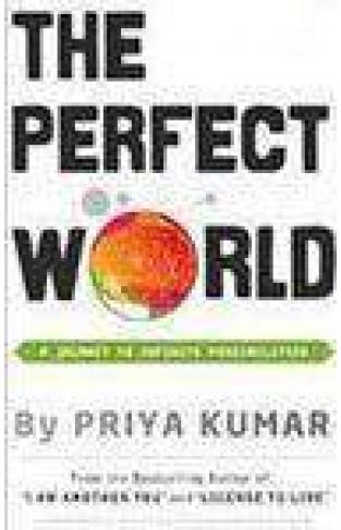 The Perfect World A Journey To Infinite Possibilities