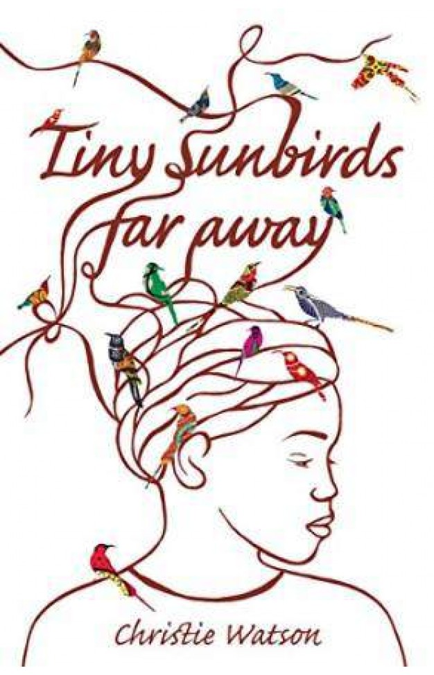 Tiny Sunbirds Far Away