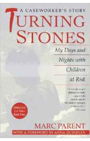Turning Stones : My Days and Nights with Children at Risk
