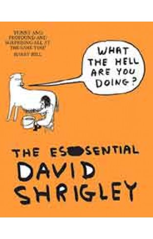 What the Hell are You Doing?: The Essential David Shrigley