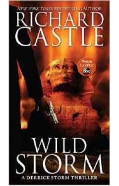 Wild Storm A Derrick Storm Thriller Mass Market