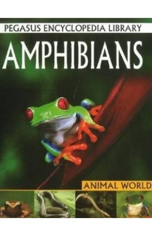 Amphibians : Pegasus Encyclopedia Library