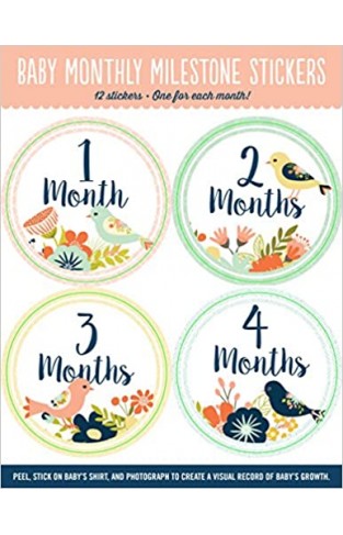 Baby Monthly Milestone Stickers - Paperback
