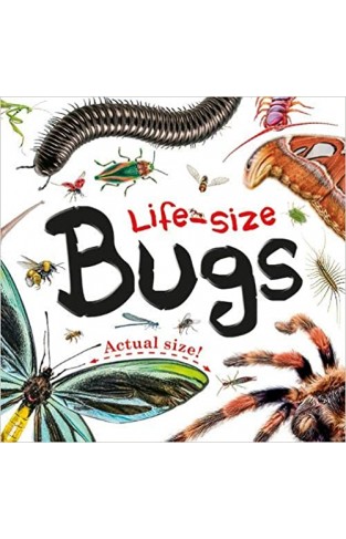 Life-size: Bugs: Life-size Boards - Board book