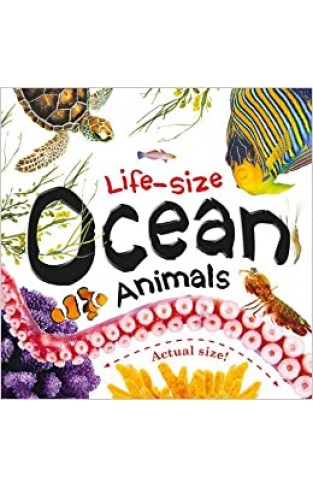 Life-size: Ocean Animals - Board book