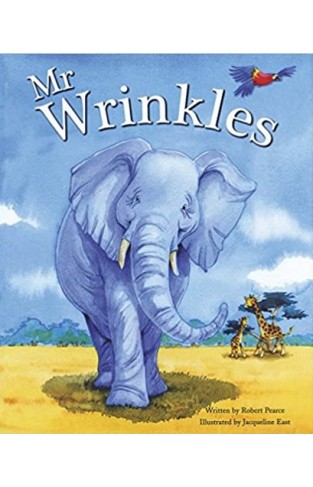 Picture Flat: Mr Wrinkles - Paperback
