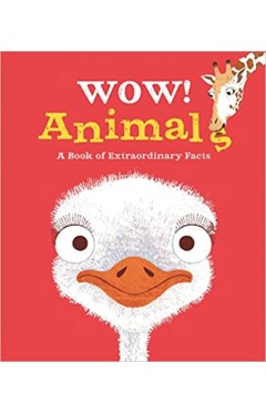 Wow! Animals - Paperback