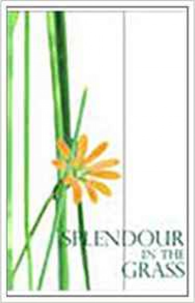 Splendour in the Grass: Innovations in Administration