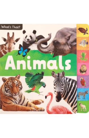 What's That: Animals