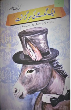 Ak Gadhay Ki Sargazarsh