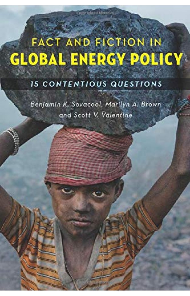 Fact and Fiction in Global Energy Policy - Fifteen Contentious Questions
