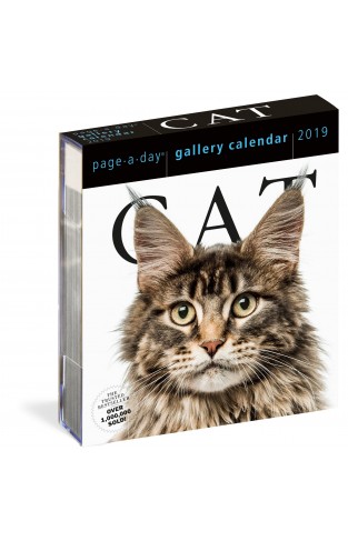 Cat Page-A-Day Gallery Calendar 2019