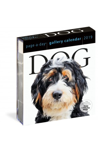Dog Page-A-Day Gallery Calendar 2019