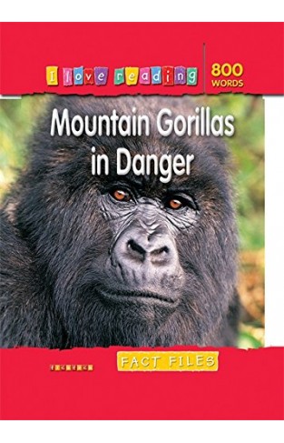 Mountain Gorillas in Danger