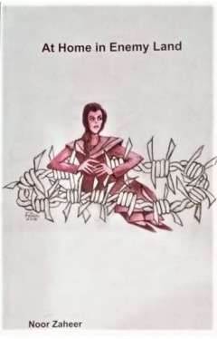 At Home in Enemy Land