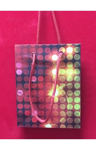  Gift Bag Glowing Lights Spring 949