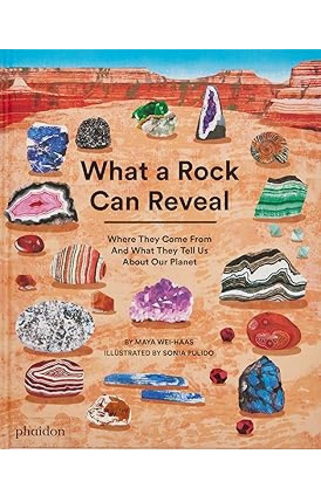 What a Rock Can Reveal