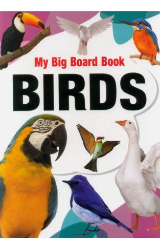My Big Board Book Birds