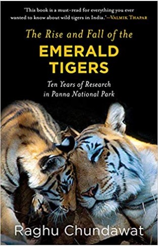 The Rise and Fall of the Emerald Tigers